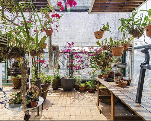 terraço 25
